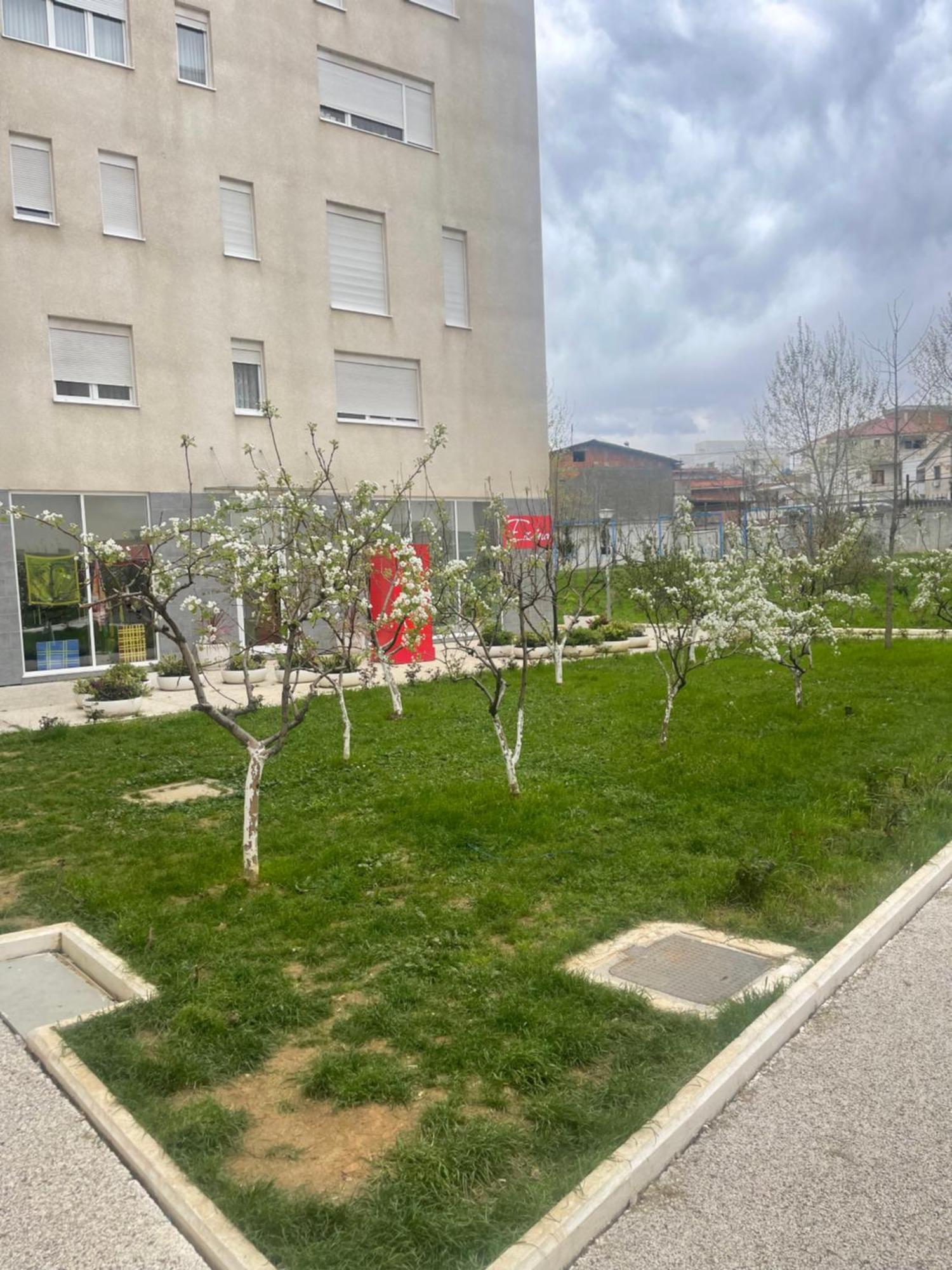 Amel Appartamento Tirana